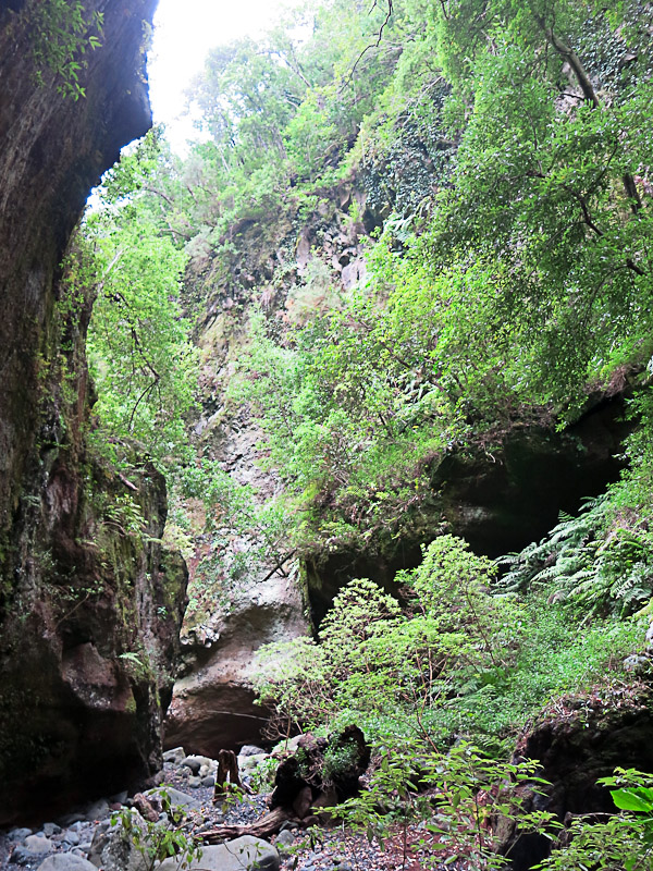 Los Tilos Los Tilos