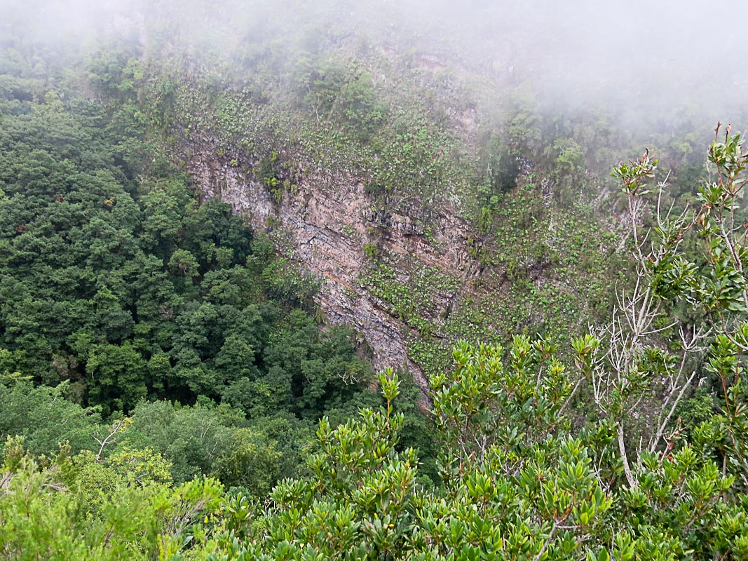 Los Tilos Los Tilos
