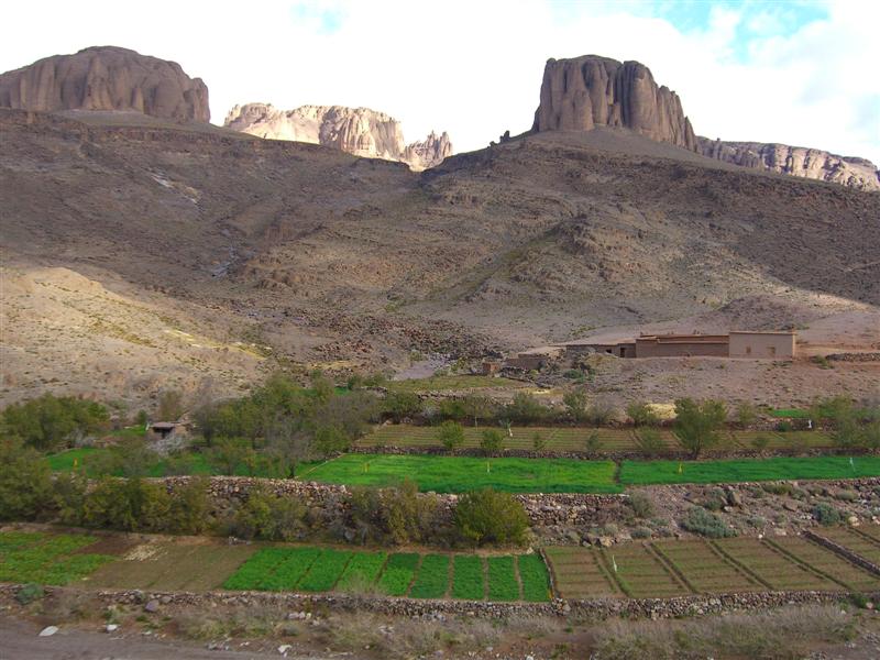 Djebel Saghro