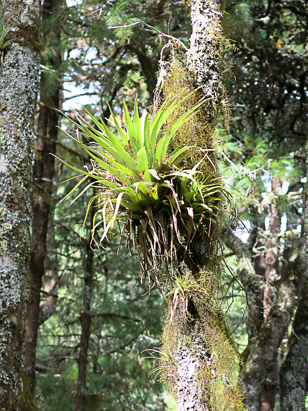 Sierra Del Norte