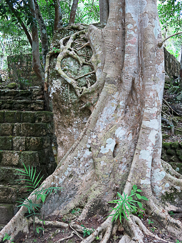 Calakmul