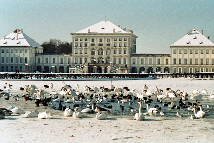 Schloss Nymphenburg im Winter - Schwne