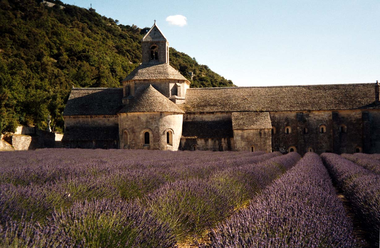 Abbey de Senanque