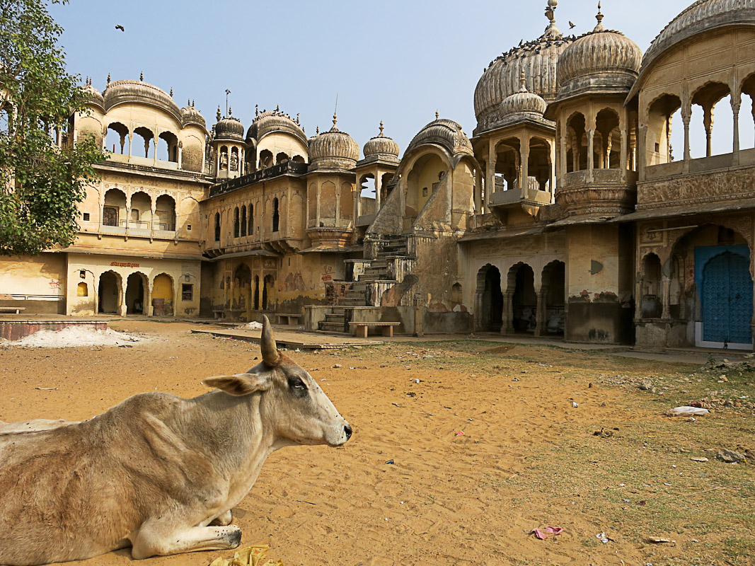 Nawalgarh