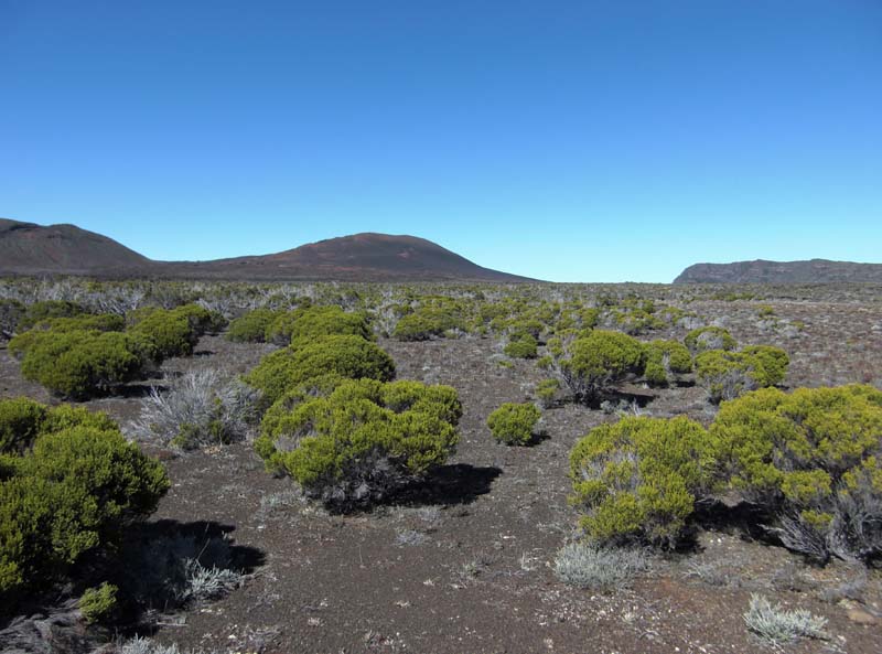 Piton de la Fournaise