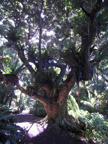 Jardin des Epices