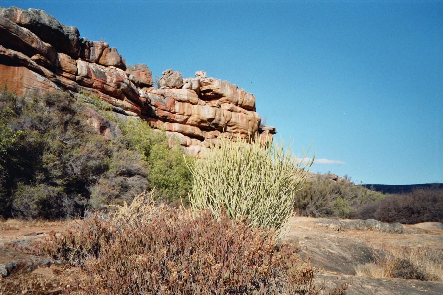 In den Cedar-Bergen