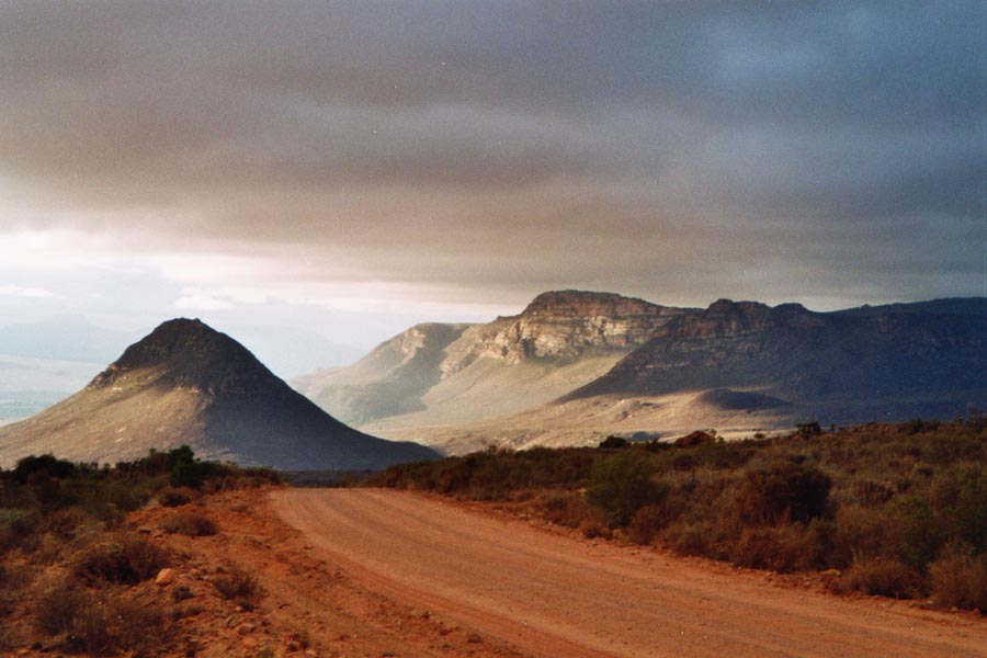 Cedar Berge