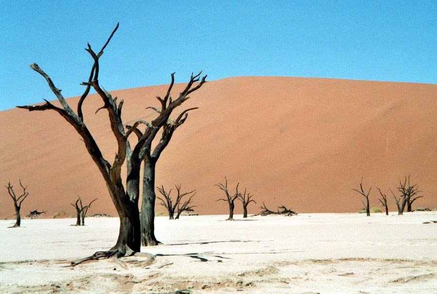 Dead Vlei