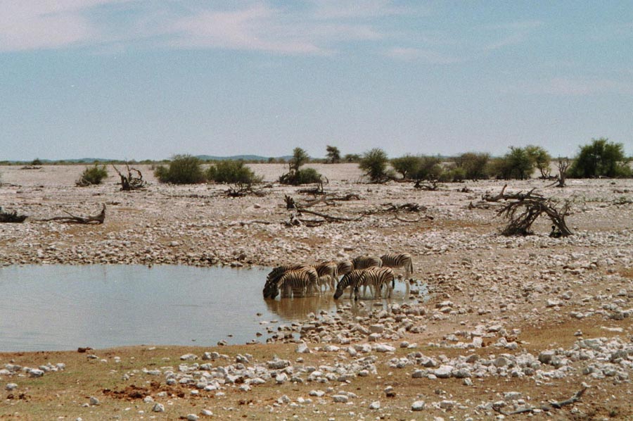 Wasserloch in Okankeujo