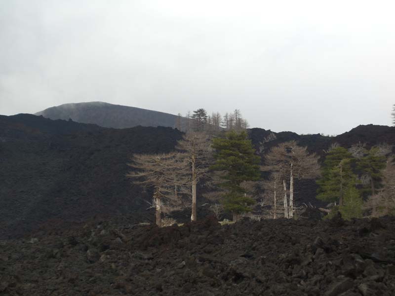 Etna