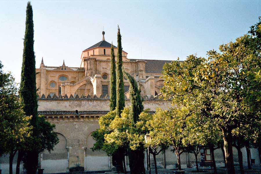 Im Orangenhof der Mezquita