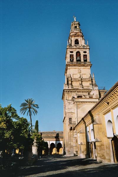 Im Orangenhof der Mezquita