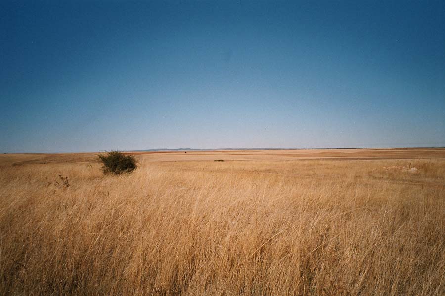 Per N110 durch die Meseta - Blick zur Seite