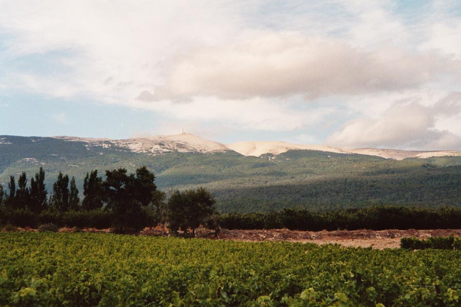 Blick zum Mont Ventoux bei Bedoin