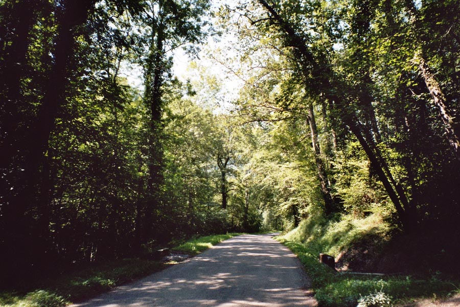 Auf der kleinen D918 durch Wldchen