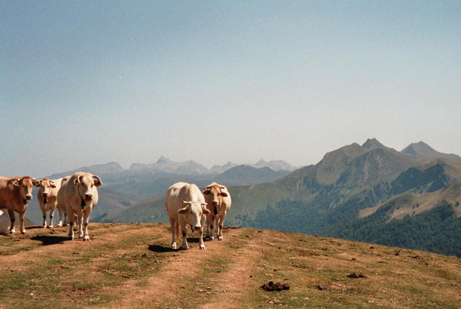 Col de Larrau - Passhöhe