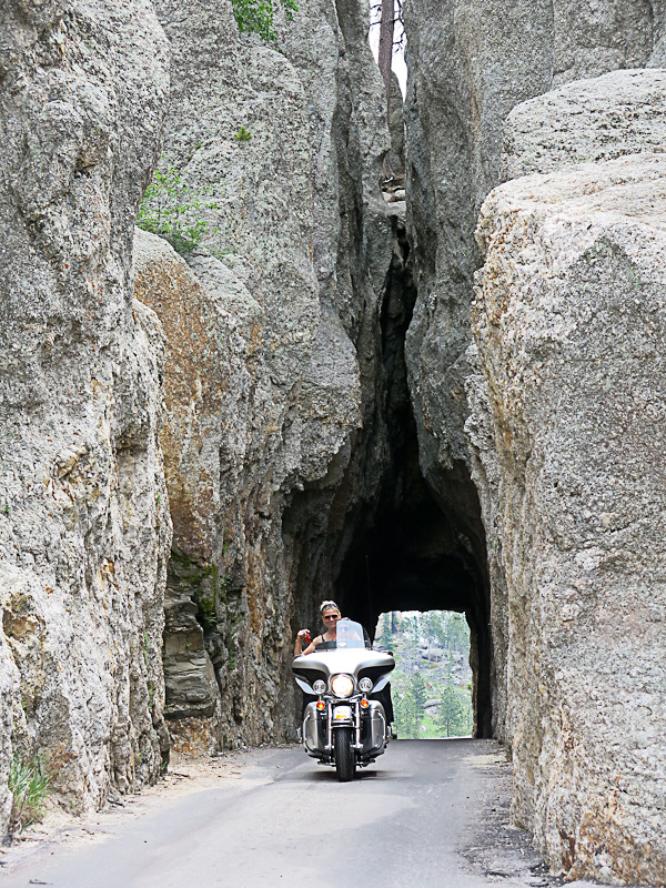 Blackhill Mountains - Needles Highway