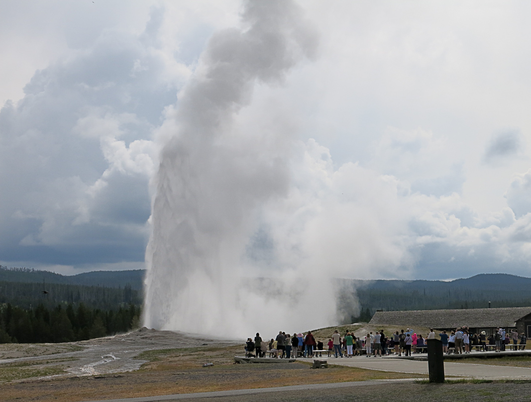 Yellowstone Old Faithfull