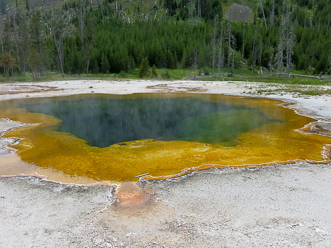 Yellowstone Emerald Spring