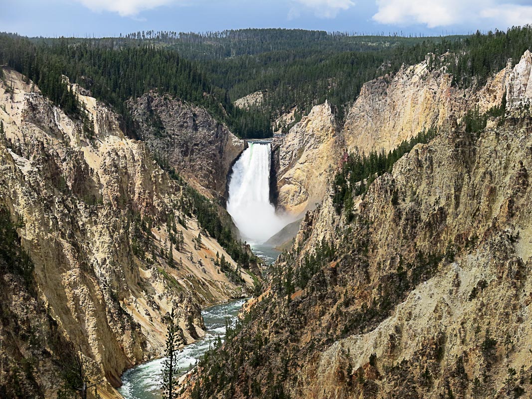 Yellowstone Canyon - Lower Fall