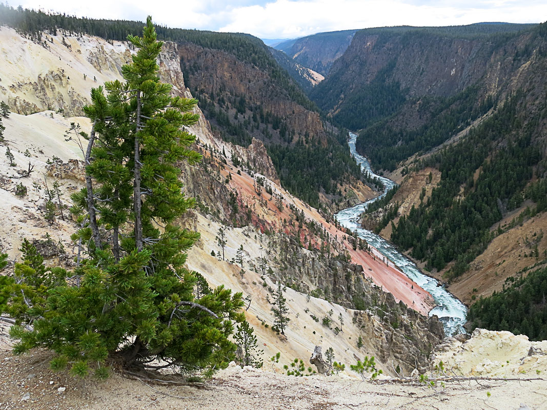 Yellowstone Canyon vom Inspiration Point