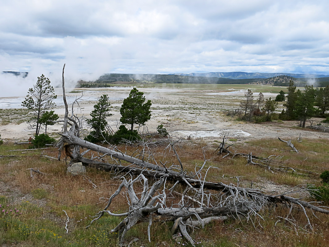 Yellowstone