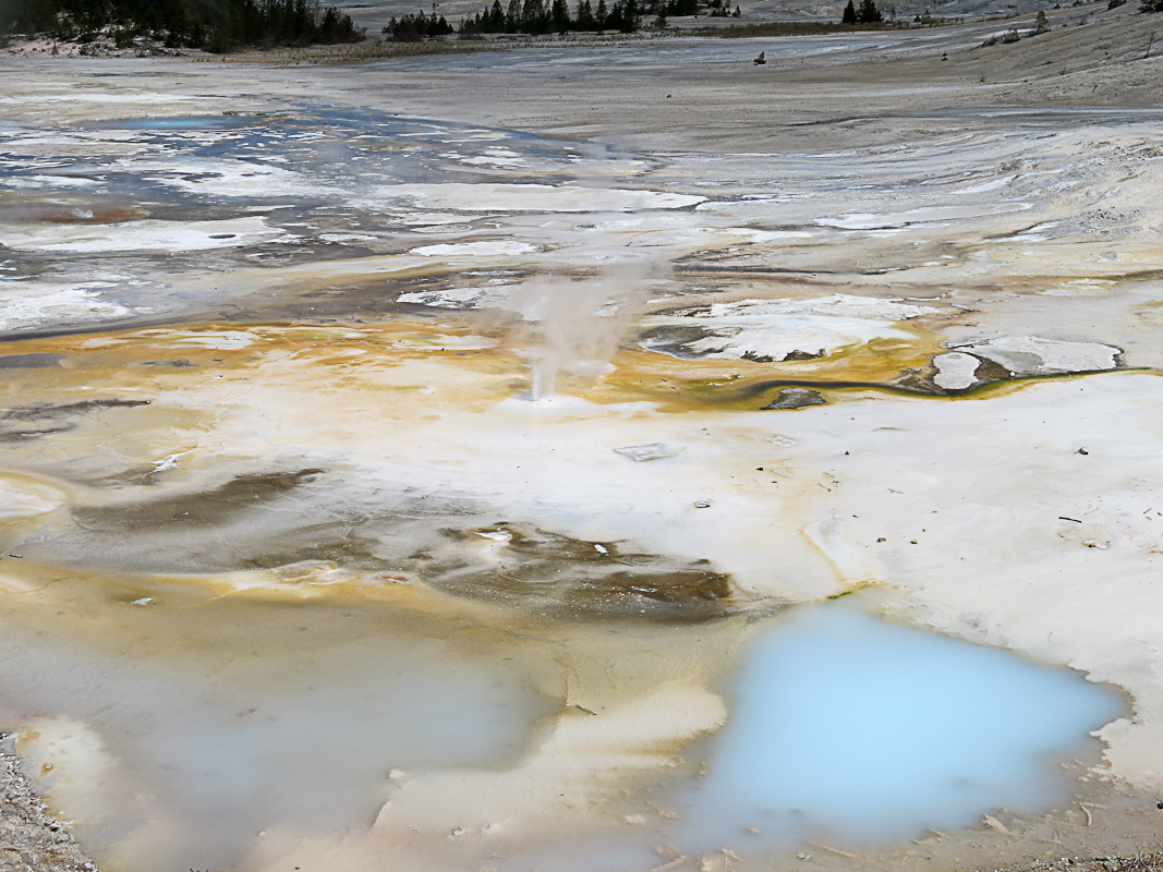 Yellowstone Norris Geysir Bassin