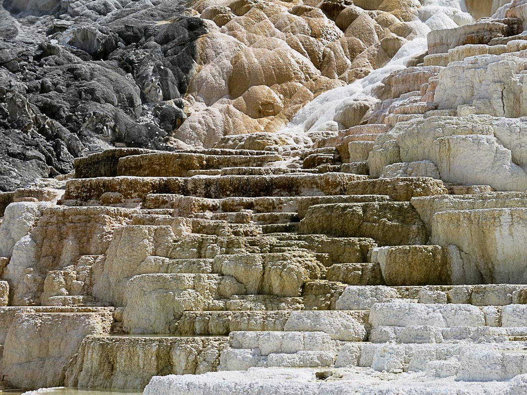 Mammouth Hot Springs