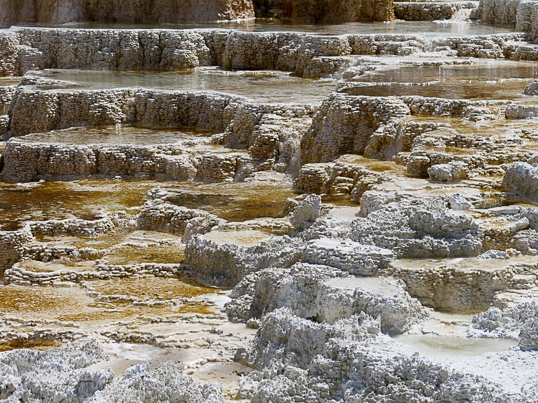 Yellowstone Mammouth Hot Springs