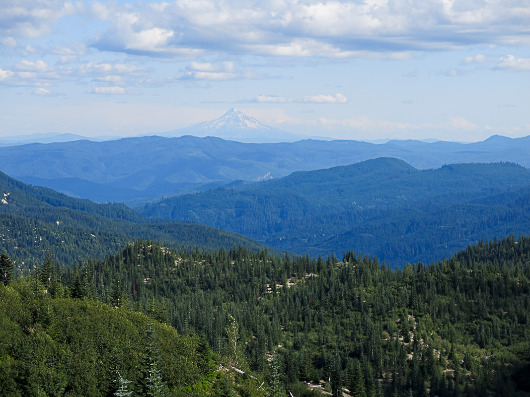 Blick auf Mt Hood