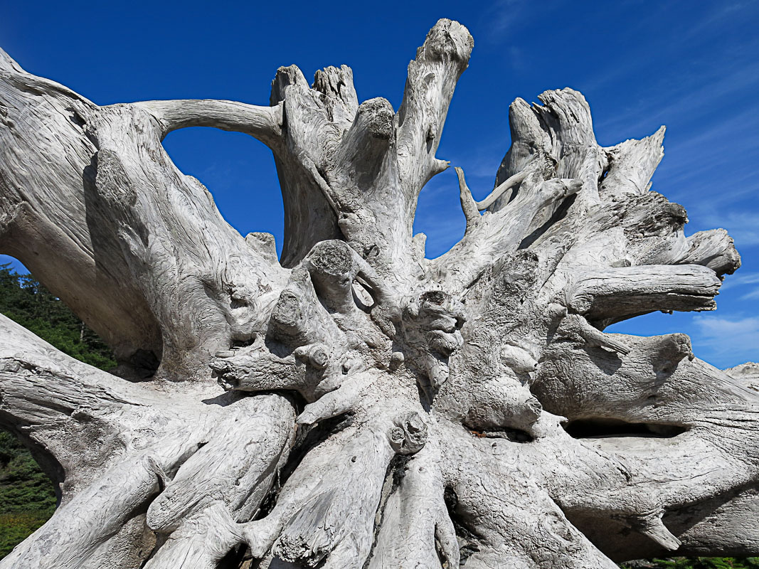 Olympics National Park - Rialto Beach