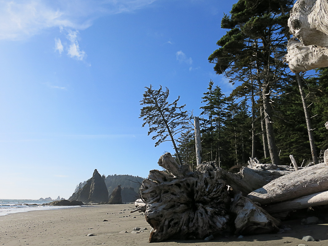 Olympics National Park - Rialto Beach