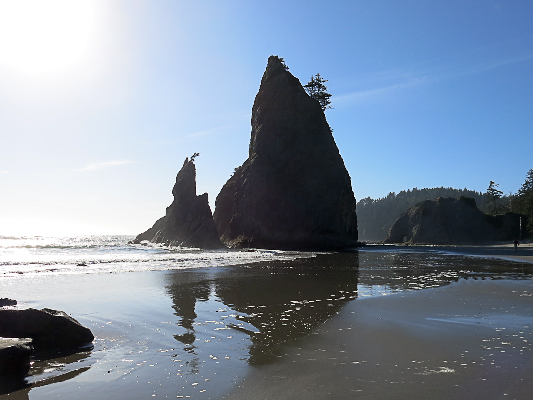 Olympics National Park - Rialto Beach