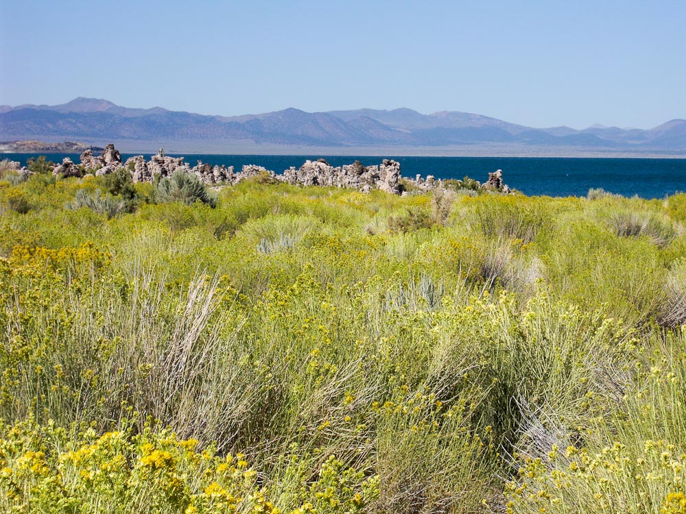 Mono Lake