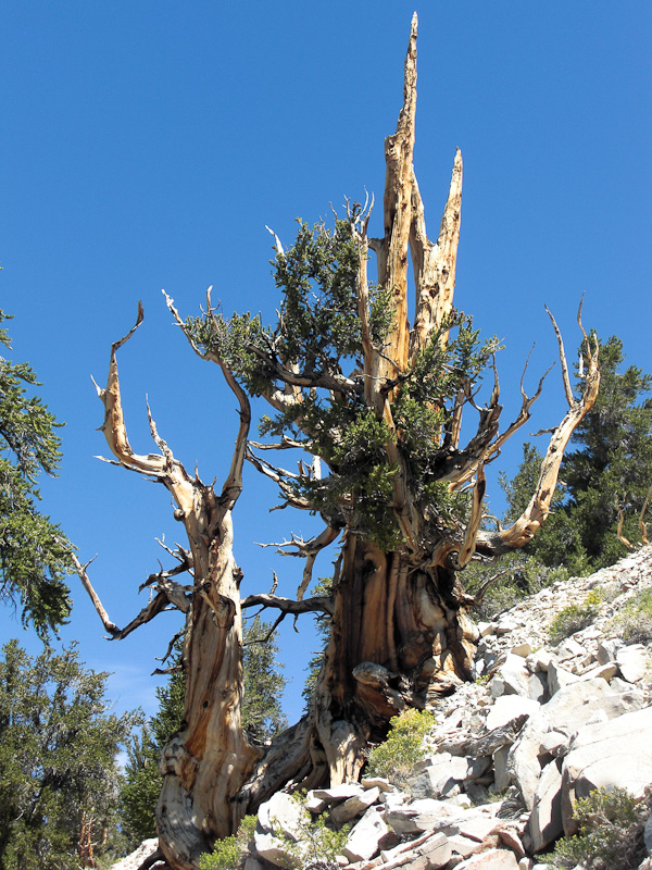 Owens Valley