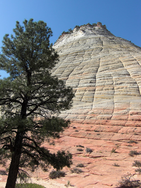 Checker Board Mesa