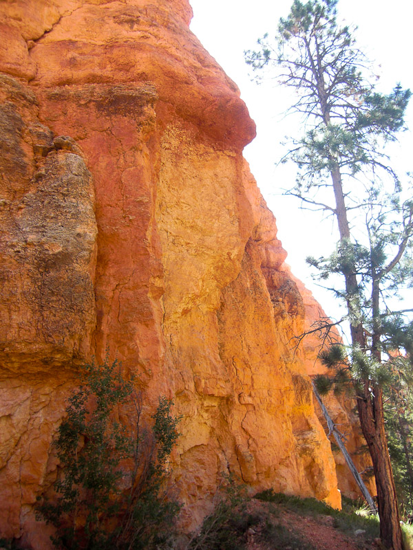 Bryce Canyon