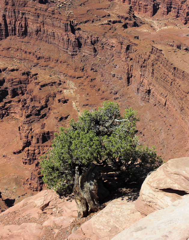 Dead Horse Point