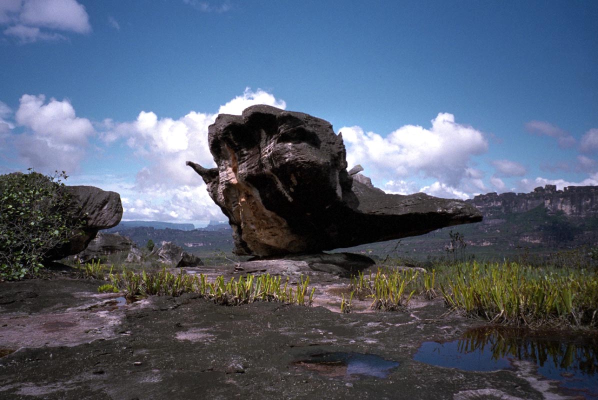 Landschaft auf dem Ayan Tepui