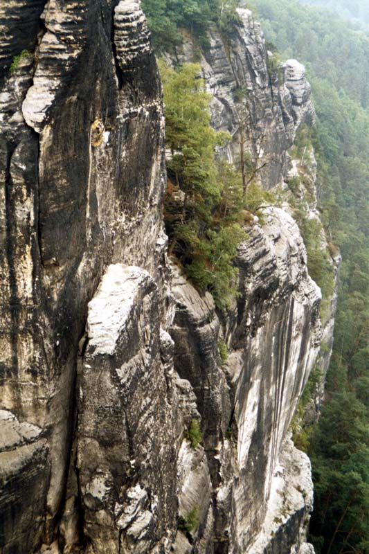 Bastei im Elbsandsteingebirge