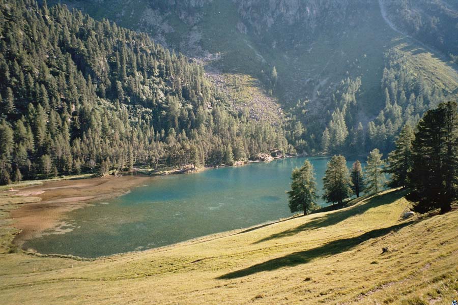 Albula's trkise Seen