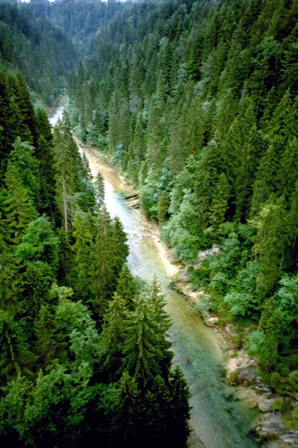 Eschelsbacher Talbrcke ber die Ammer