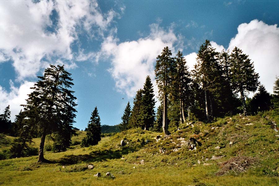 Durch das Laternsertal zum Furka-Joch