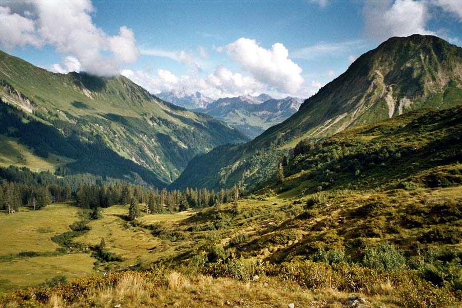 Blick vom Furka-Joch Richtung Damls