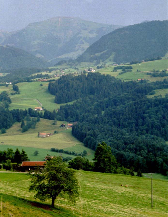 Blick ins Allgu bei Oberstaufen