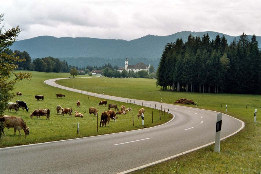 Strasse zur Wieskirch